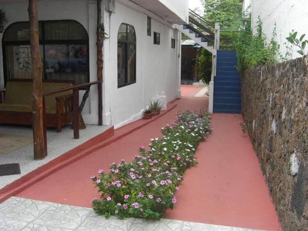 Maytenus Galapagos Puerto Ayora  Eksteriør billede